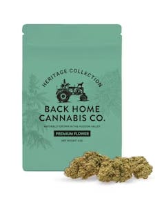 Back Home | Flower | Jack Herer | 3.5g