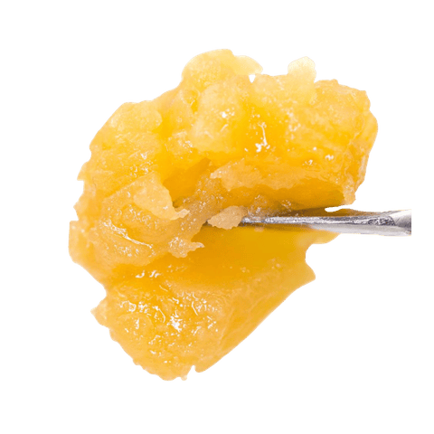 LEMON DROP - FULL SPECTRUM LIVE ROSIN