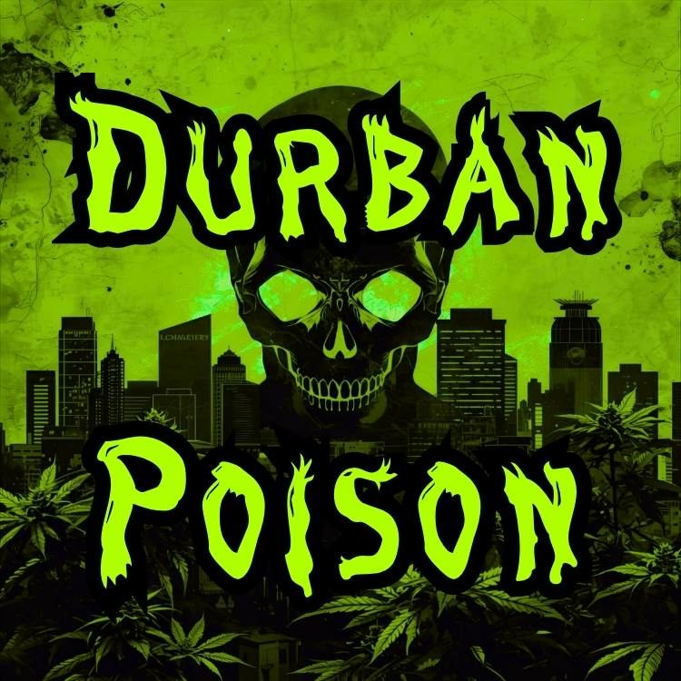 DURBAN POISON | BULK FLOWER