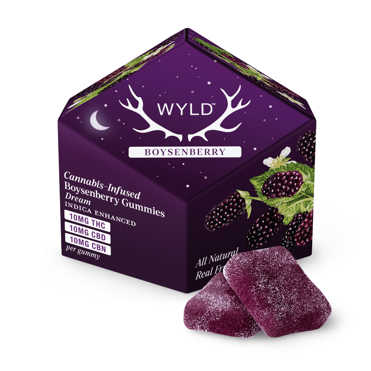 BOYSENBERRY