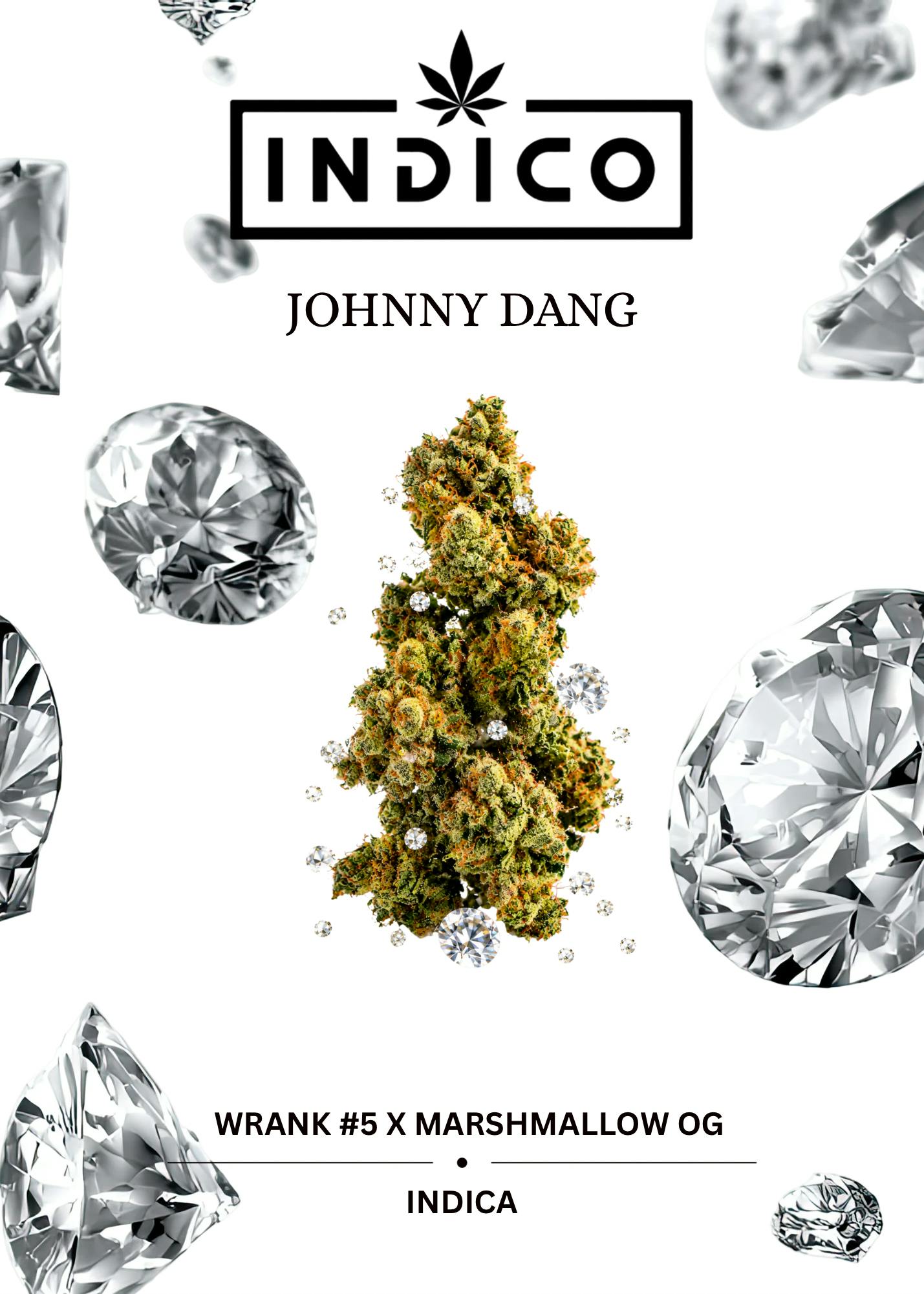 Johnny Dang