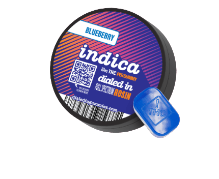 CLASSIC ROSIN GUMMIES - BLUEBERRY