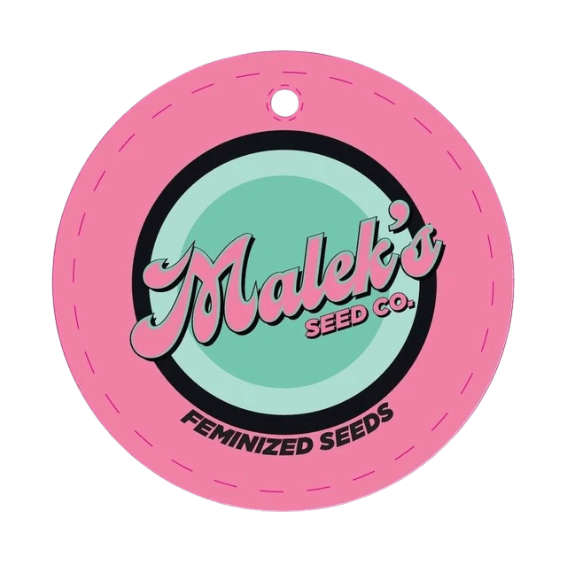 MALEK'S | ZKITTLEZ