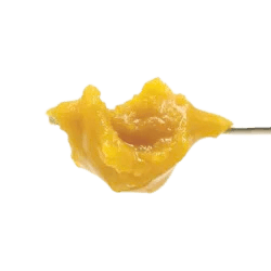 PAPAYA + SB36#1 - LIVE ROSIN BADDER