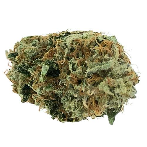 WOJO Bloom Smoothie 7g