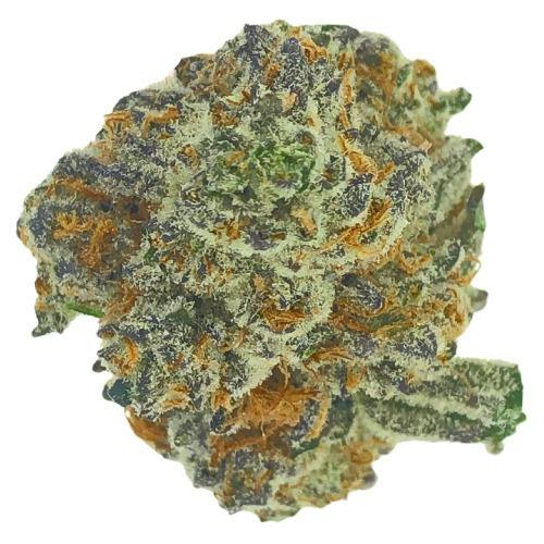 Northwoods Cannabis Florida Punch 28g