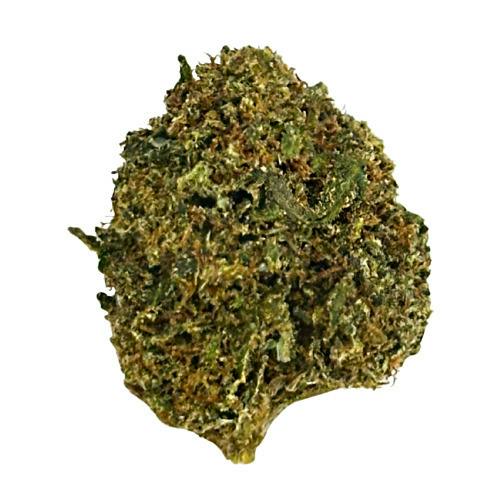 GoodLyfe Farms Pistachio Outdoor Pre-Packed 1oz