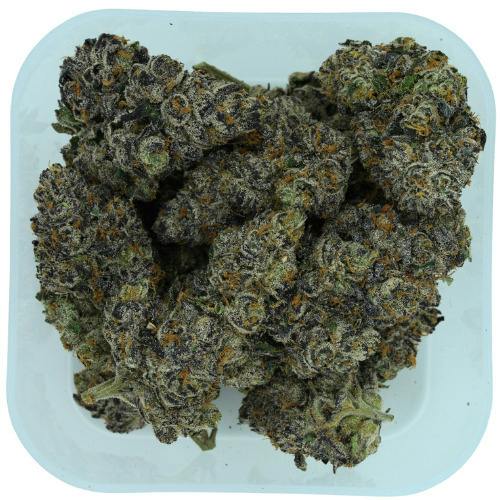 Bow House Flower Candy Cartel