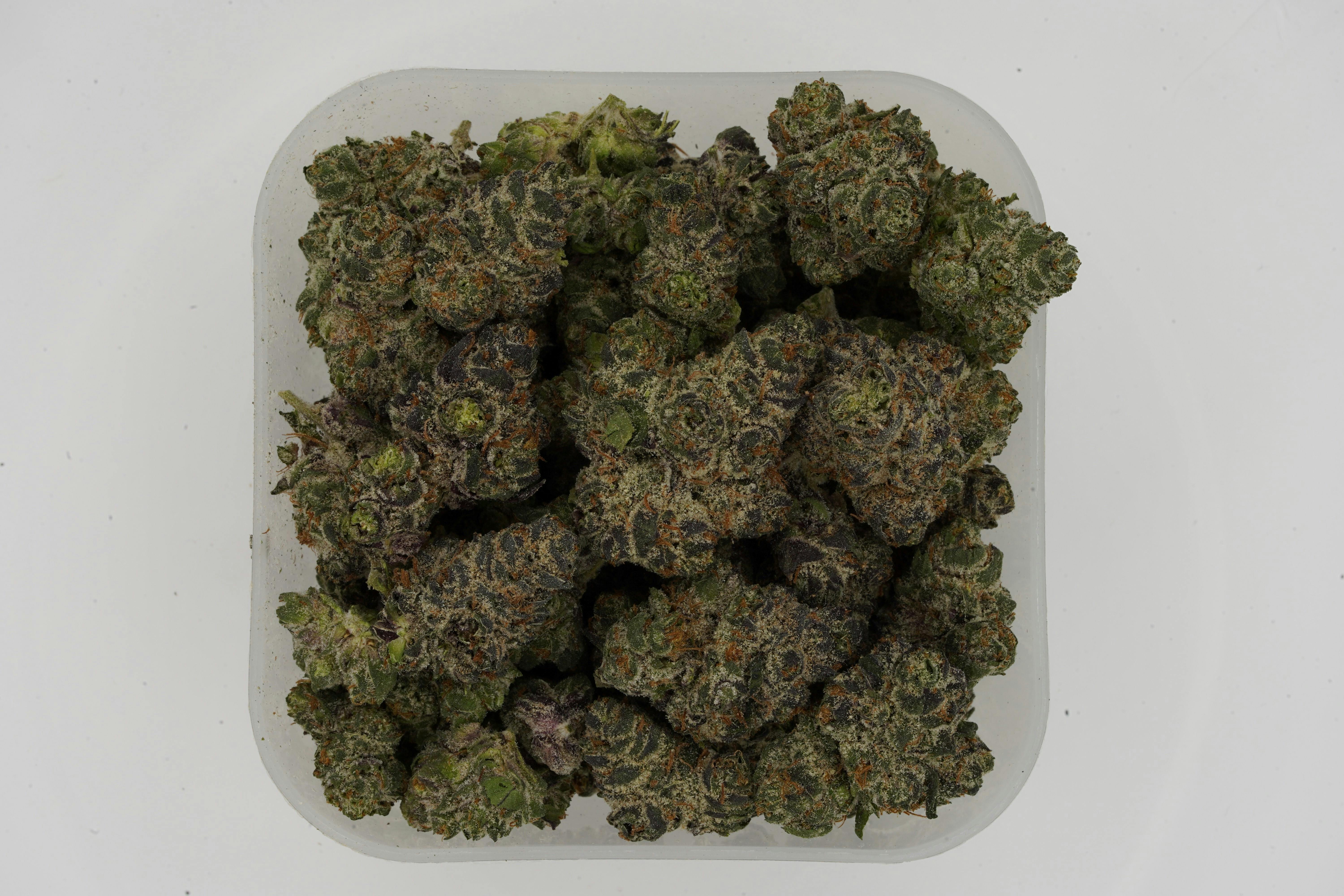 Flower Red Runtz (IW)