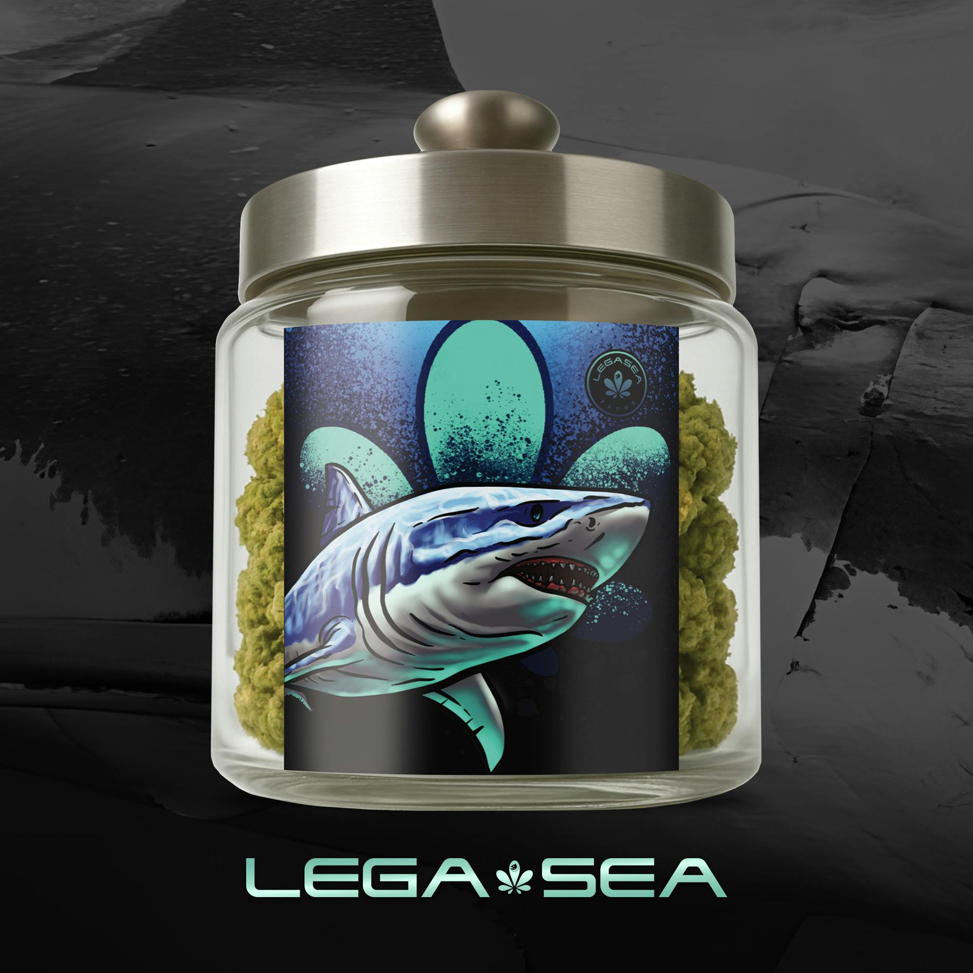 Legasea Flower Lava Cake