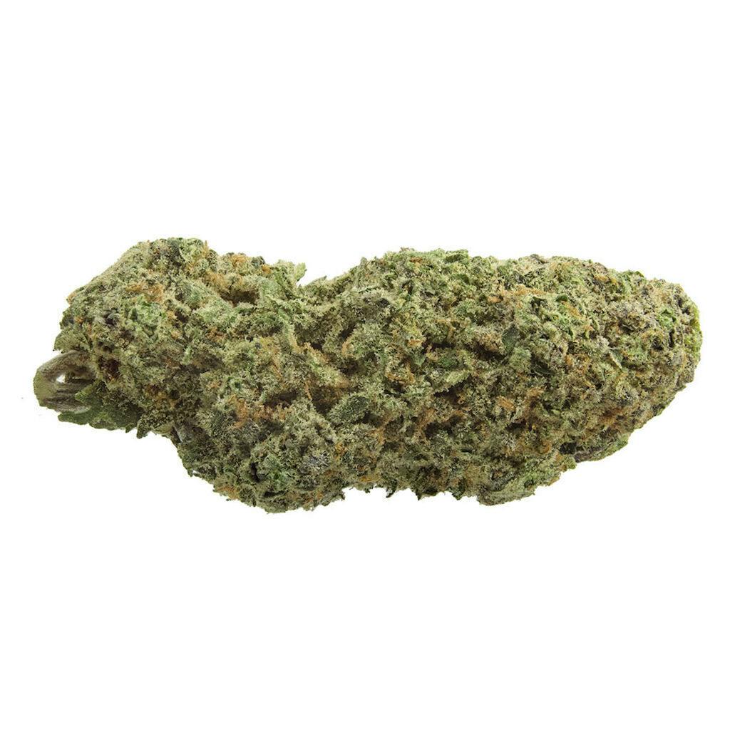 1964 - Organic Sour Cookies Sativa - 3.5g