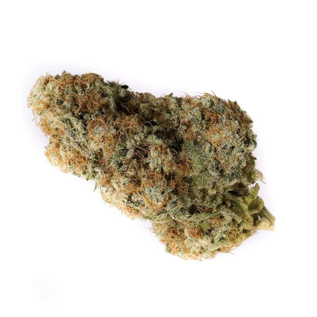 Saturday - Lemon Z