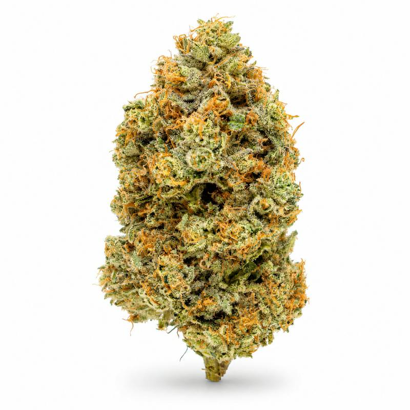 Blossom | Flower (Deli-Style) | Watermelon Rush | Bulk