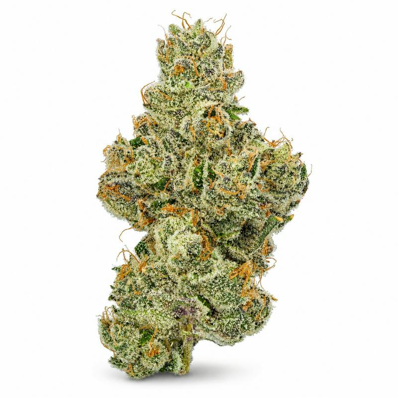 Blossom | Flower | Bananaconda | Packaged