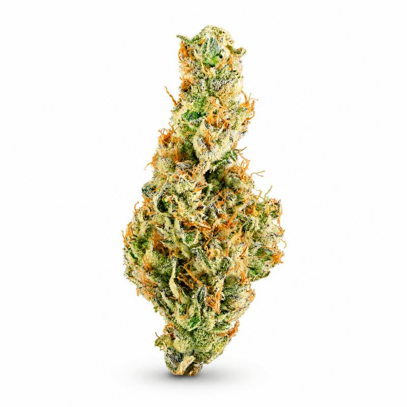 Blossom | Flower | Mule Fuel | Packaged