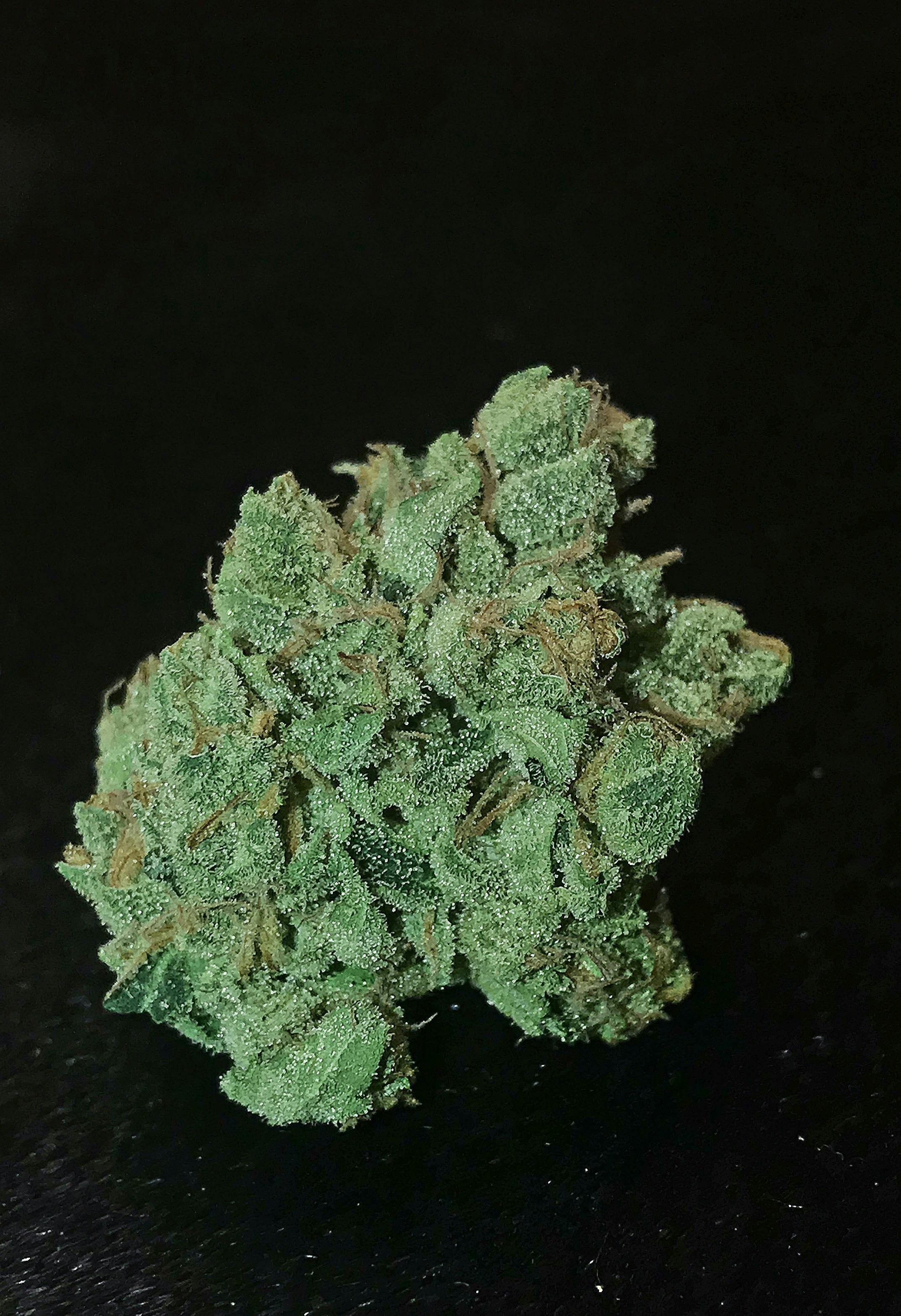 Brain Freeze x Chem D