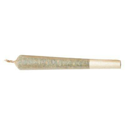 Ripped Sativa 1 x 0.5g Pre-Roll