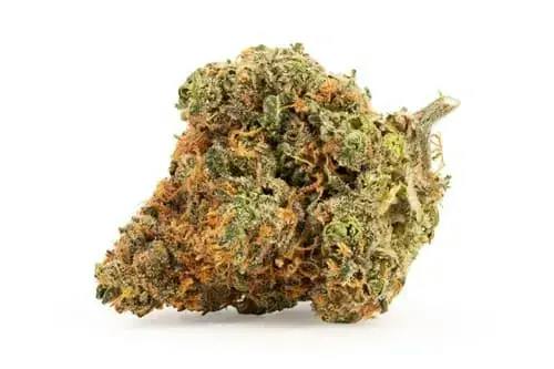 BC Organic Tangerine Sunrise 3.5g Dried Flower