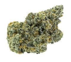 Apricot Frost 3.5g Flower - Partake