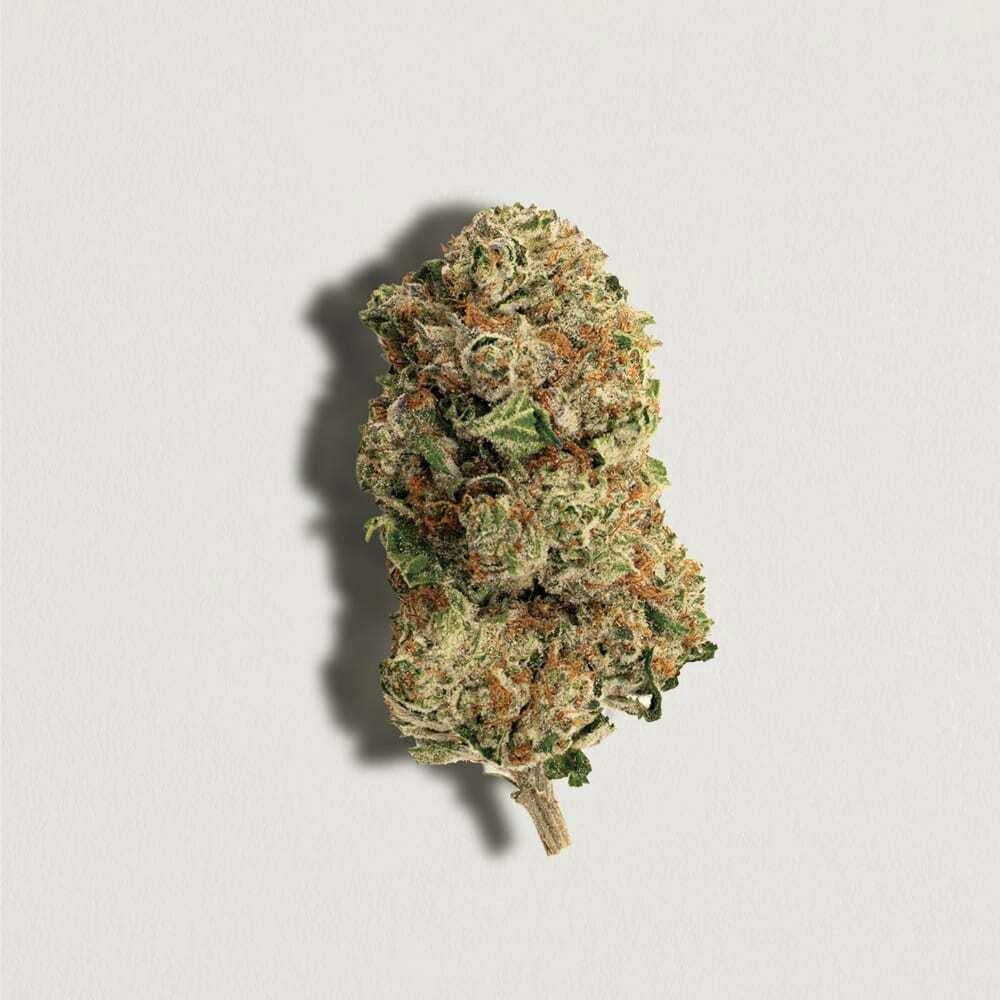 Pink Rhino 28g Dried Flower
