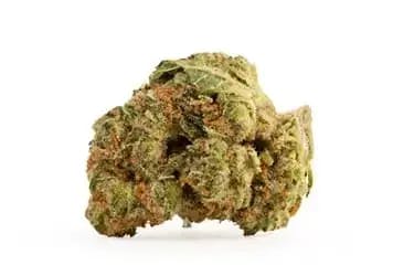 Craft Smalls 14g Dried Flower by New Life Canna