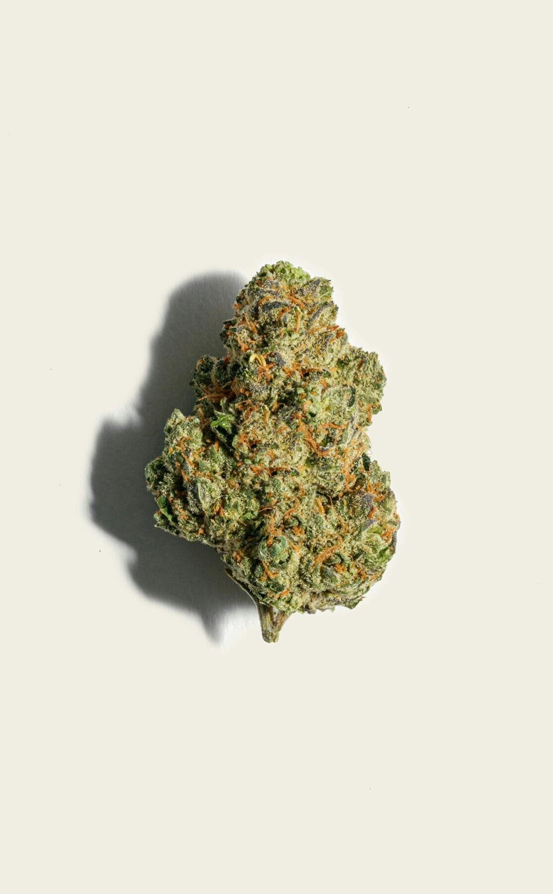 Day Tripper 7g Flower - Pure Sunfarms