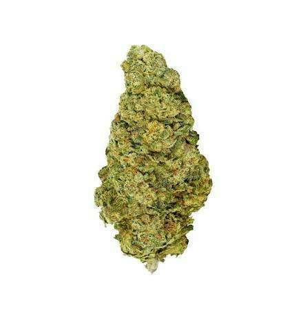 Galactic Jack 7g Dried Flower