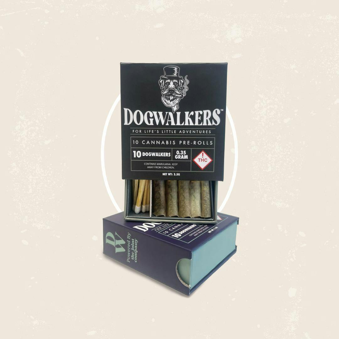 SUDZ & GIGGLES | DOGWALKER BOX 10PK | 3.5G