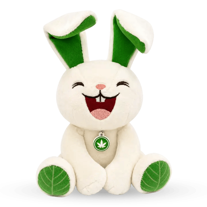 Meg the Baked Bunny - Dog Accessory