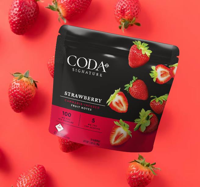 Strawberry - Fruit Notes - 20pk - 100mg