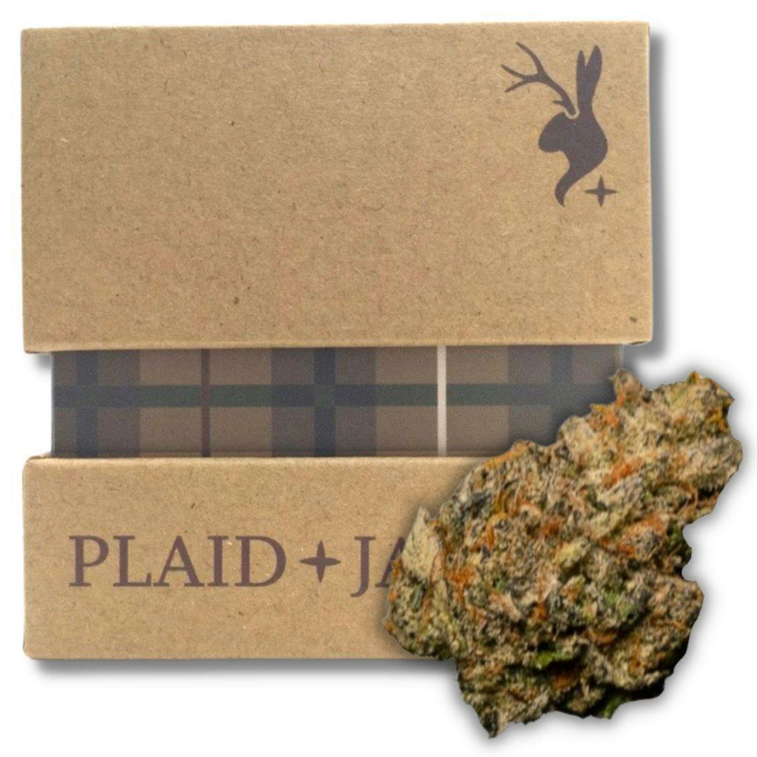 Power 7g Flower (Plaid Jacket)