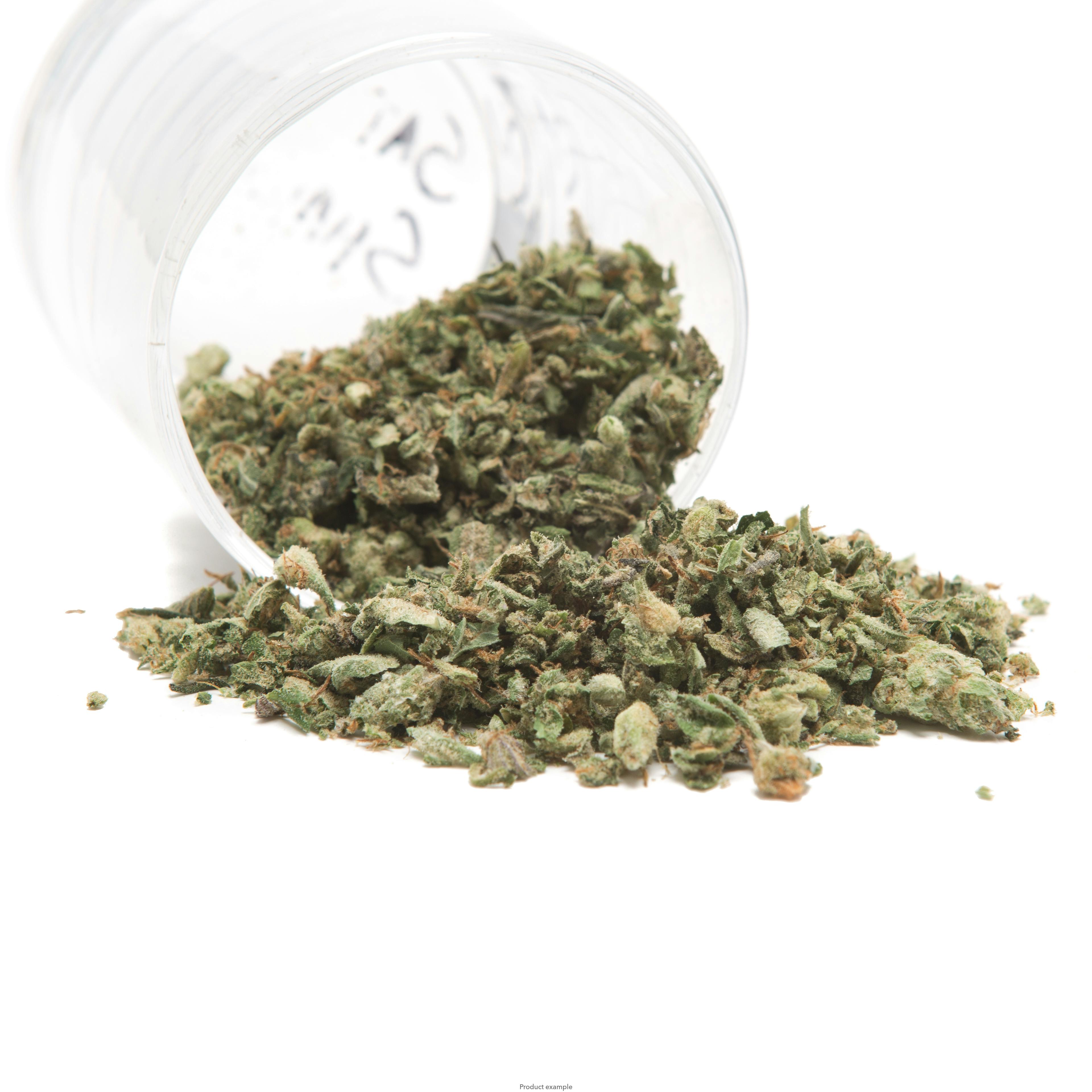 Dutch Treats *Shake* at The Dispensary on 52nd