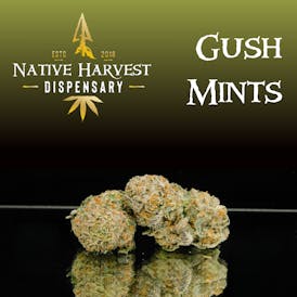 Premium - Gush Mints