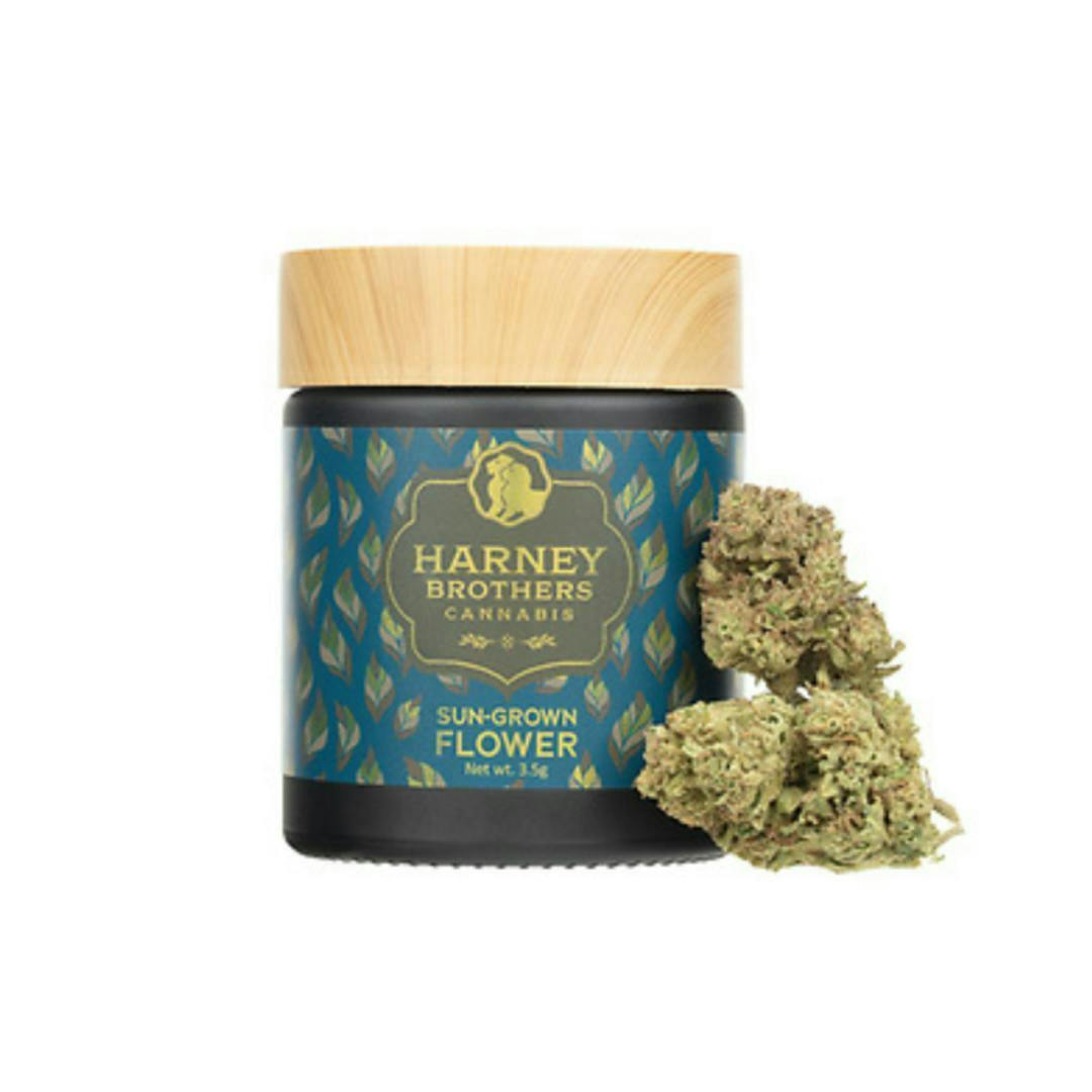 Harney Brothers | Northern Lights (i-h) Premium Flower