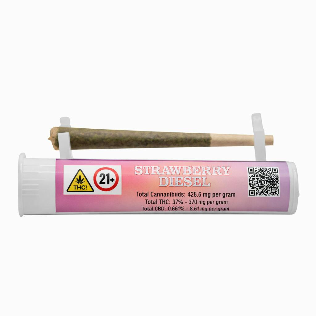 Breakfast Connections | Strawberry Diesel (s) Kief Infused Blunt at Public Flower - Buffalo Dispensary