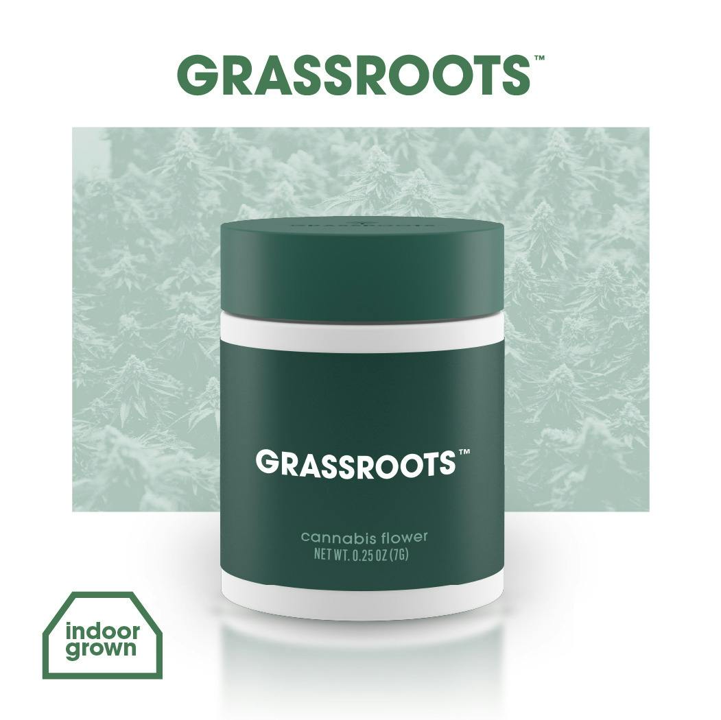 Grassroots | Golden Sands (i) Premium Flower