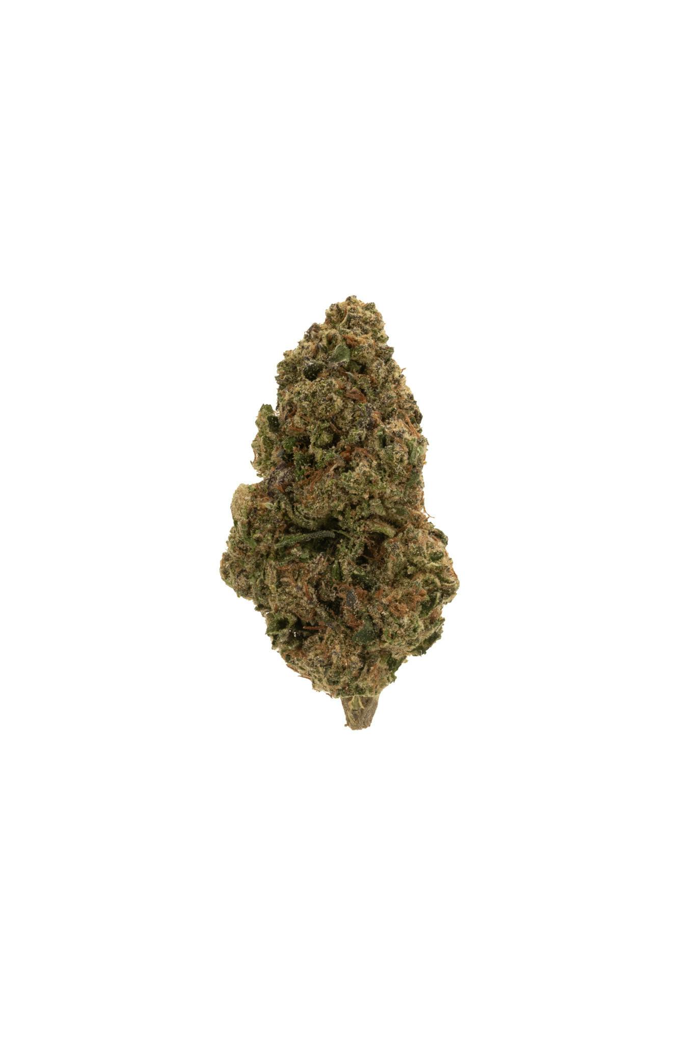 Rolling Green | Grape Scotti (h) Premium Flower