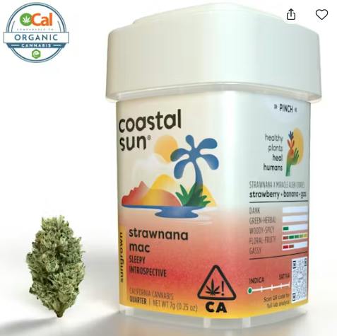 Coastal Sun Sungrown 7g Quarter - Tropical Junky (S)