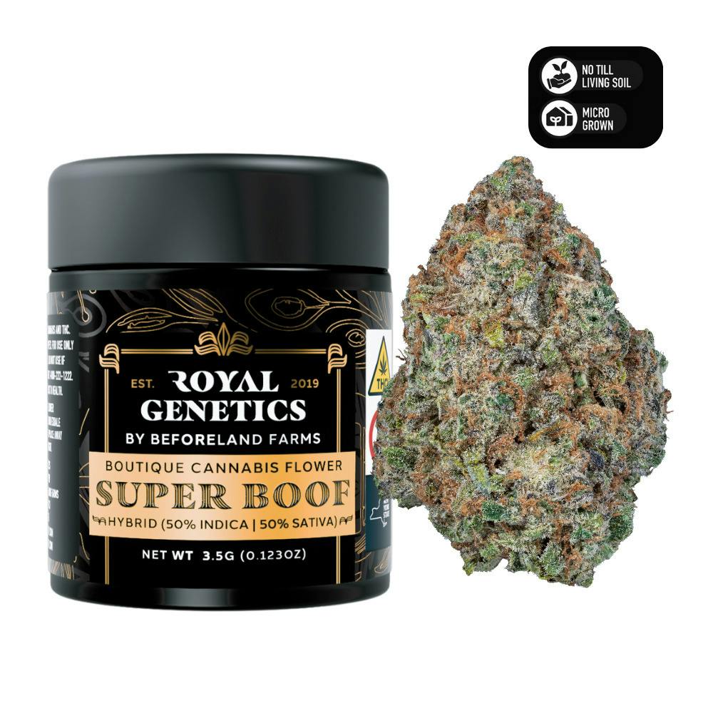 Royal Genetics | SuperBoof | Flower