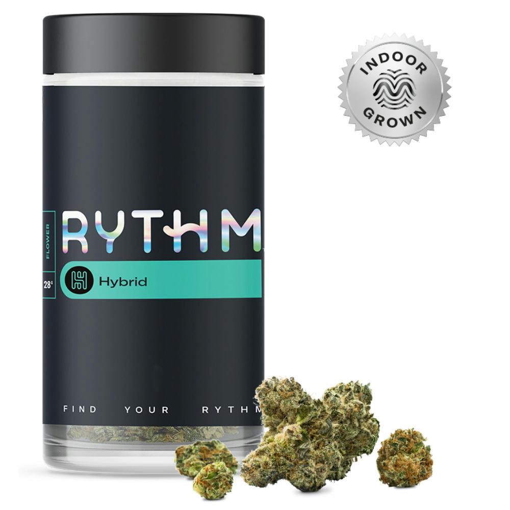 Rythm | Cheddar Cheeze| Flower