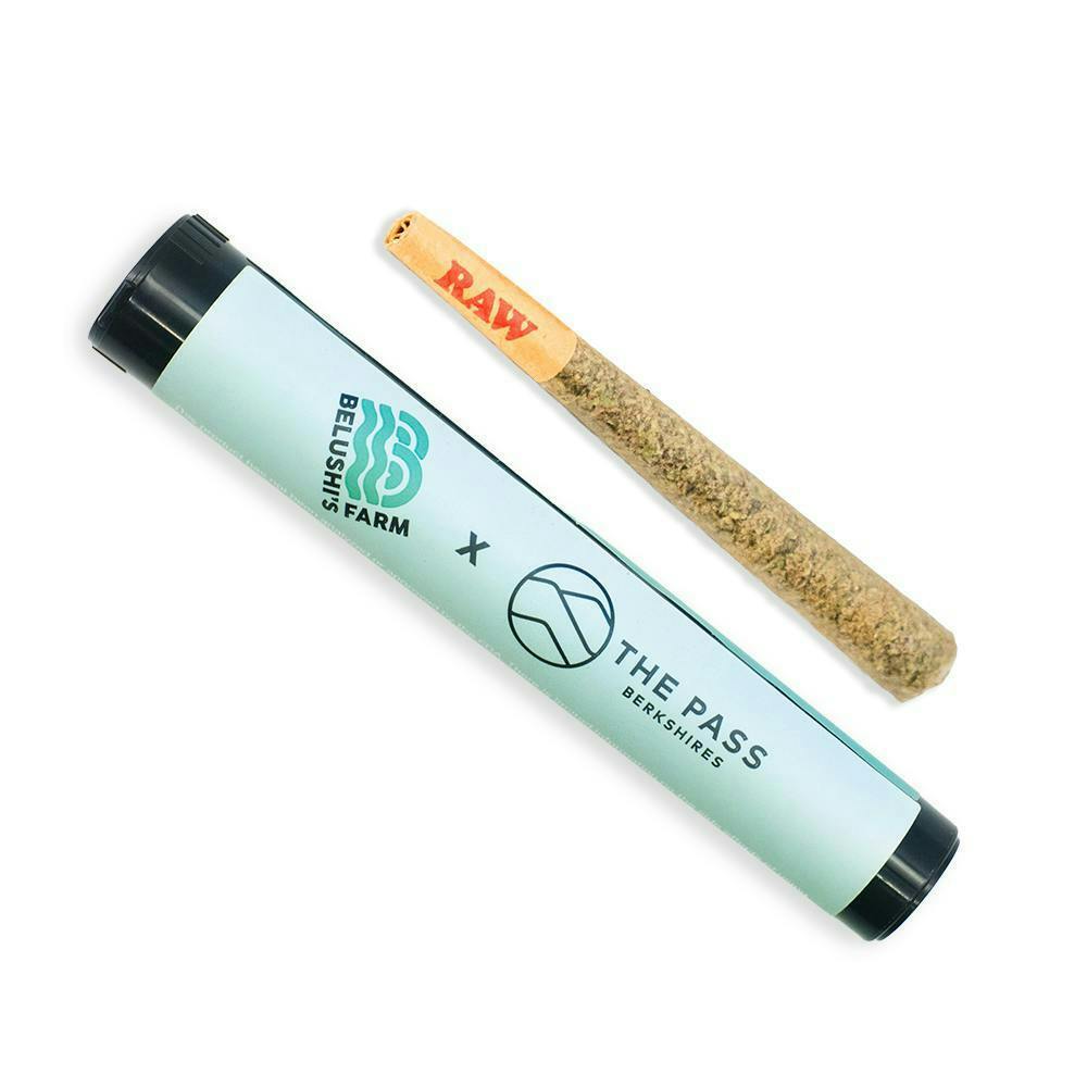 Pre-Roll - Gelato #41