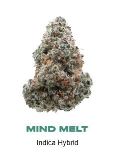 Mind Melt