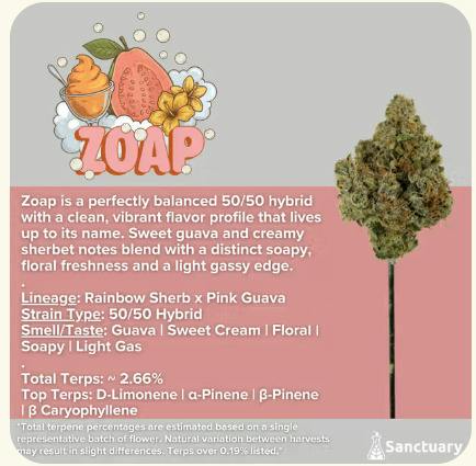 Zoap