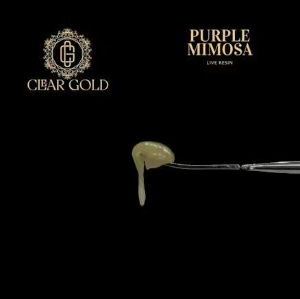 Live Resin - Purple Mimosa