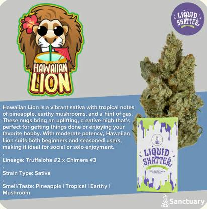 Liquid Shatter Vape - Hawaiian Lion