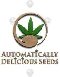 CBD Autos - CBD Purple 1:20 at Emerald Alley Dispensary