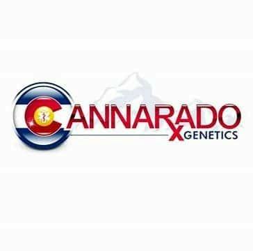 Cannarado - Tropical Freezer (REG) at Emerald Alley Dispensary