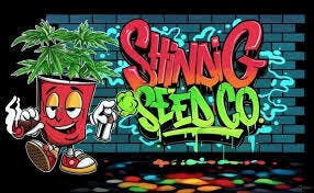 Shindig Seed Co. - Slurpee Mix (REG)