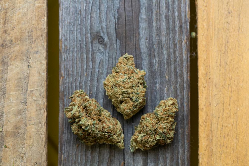 Ananda Farms Poway Dream