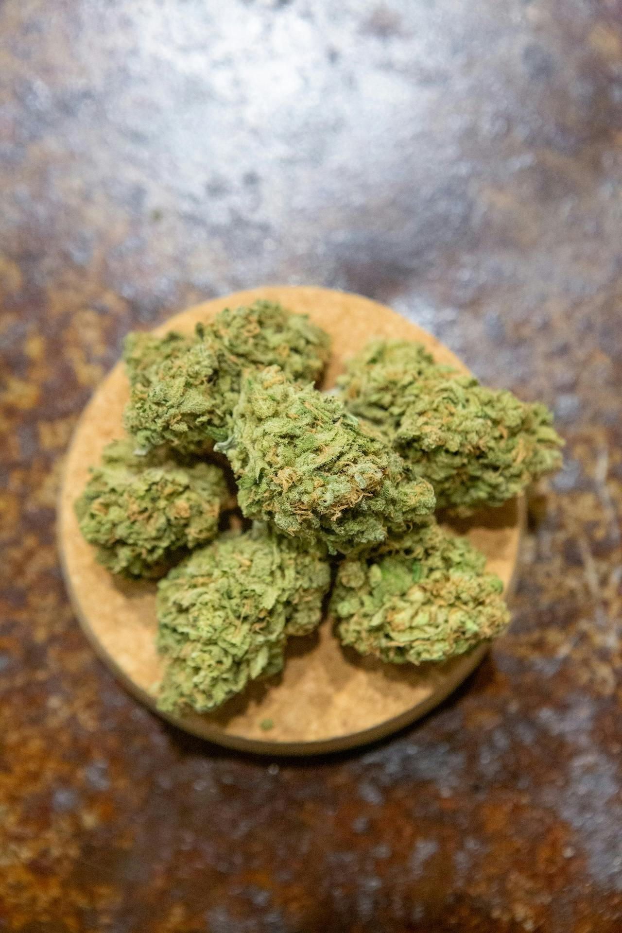 Gud Gardens Blue Dream *Indoor*
